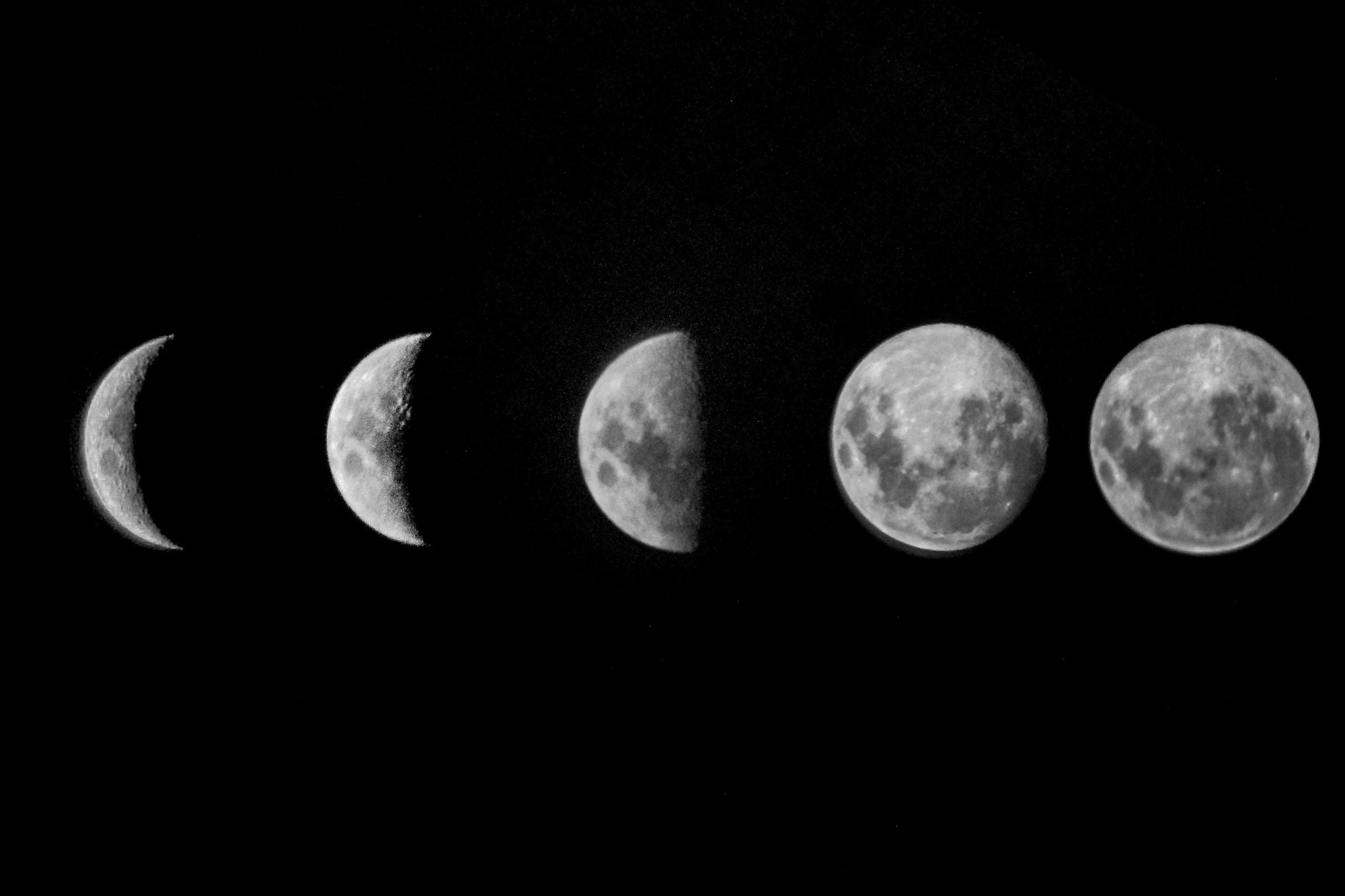 Les phases de la Lune, du croissant a la pleine lune, dans un ciel nocturne